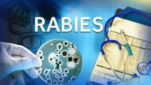 Rabies in Ontario is a Risk